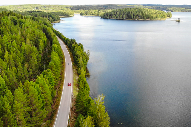 Forests and lakes from above