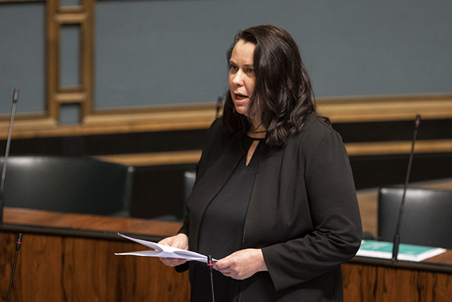 Chair of Constitutional Law Committee speaking in parliament session